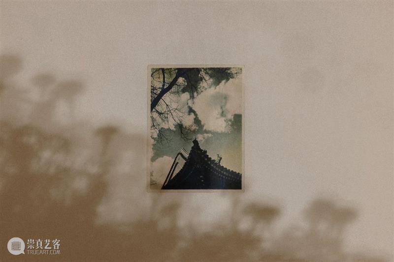 展评|ArtReview|马超的五次离场——评马秋莎“一个青年” 艺术评论 刘令仪 青年 马超 马秋莎 Call 展期 花期 白色 射灯 燃烧殆尽 火苗 崇真艺客